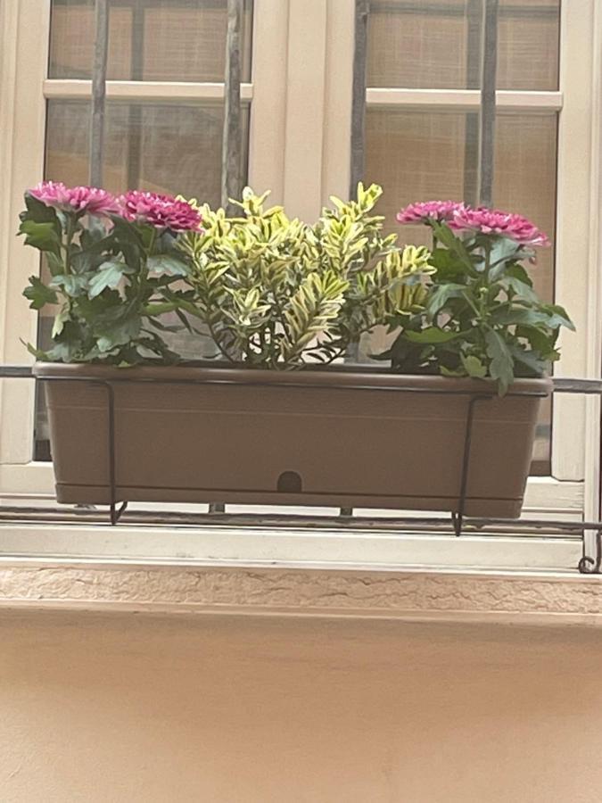 Cuor Di Mantova B&B Luaran gambar